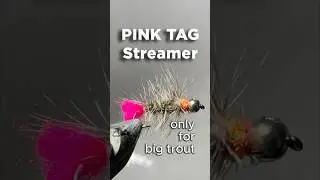PINK TAG Streamer Flypattern #flyfishing #fliegenfischen #flytying