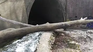 Abandoned Amphitheater Antioch University and Tunnel Yellow Springs Ohio