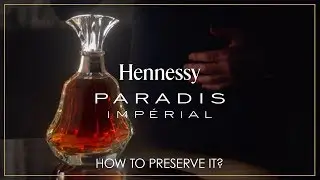 Hennessy Paradis Impérial | How to preserve?