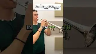 Разница между любителями и профессионалами #музыкант #группа #труба #маршевый оркестр #духовые ду...