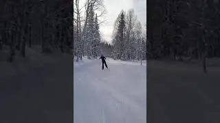 трасса для беговых лыж на Секторе Е, Шерегеш