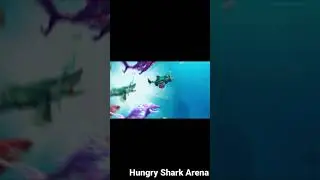 Hungry Shark Arena #hungrysharkarena #hungryshark #shorts