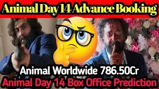 Animal Day 14 Advance Booking Report | Day 13 Early Estimate 😱