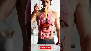 How Noodles Break Down Inside Your Stomach 3D Digestion & Health Impact Animation #viral #animation