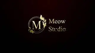 Meow Studio Animation