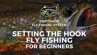Setting the Hook Fly Fishing for Beginners