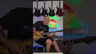 Legator N6FSS Guitar Review:  A budget Masterpiece?