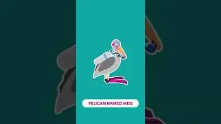 Pelican named Meg 🍊 #pelican #drawing #timelapse