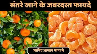 संतरा खाने के जबरदस्त फायदे | Orange Khane ke Health Benefits | Healthy Life Tips || orange benefits