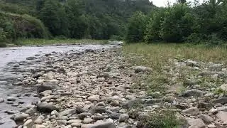 G&uuml;zel k&ouml;y&uuml;m G&ouml;rele inanca k&ouml;y&uuml; 25 Ağostos 2019