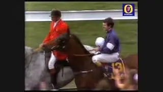 1985 MELBOURNE CUP - WHAT A NUISANCE