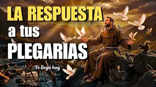 San Francisco REVELA: El lenguaje de las aves y 4 SEÑALES de que tu oración ha sido escuchada