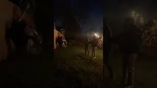 CRF450R Fail ‼️ #crash #4stroke #dirtbike #motorcycle #bigborekit #450cc #honda #race #viralshort