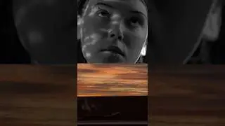 visual senses