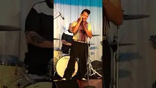 Boppin' The Blues at the Chesterfield #rockabilly #classicrock #liveperformance