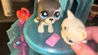 Lps in summary: twilight 1, part 2 #twilight #lps #funny 