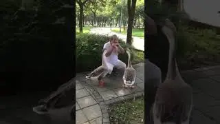 Birds understand well to communicate pl see complete video to enjoy