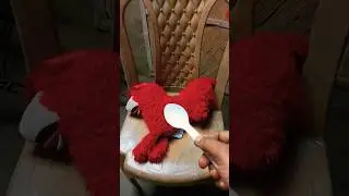 This Is Not Cake, It&rsquo;s a Cat! Epic Comedy Reaction 😆