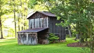 Summerfield Farms