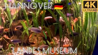 [DE] 🇩🇪 Germany Landes Museum Hannover Aquarium