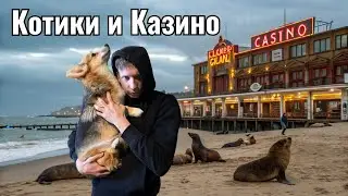 Казино и морские котики - это вообще курорт?