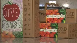 'The Give Garden': Subscription cooking box for kids