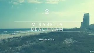 Mirabella Beach LIVE: Watch Sea Turtle Nesting & Gulf Coast Sunrises