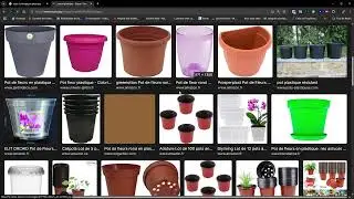 PLANTES ET ASTUCES - Un document qui r&eacute;sume boutures et entretien des plantes avec les liens vid&eacute;os
