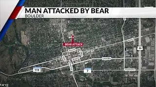 Boulder man slashed by bear while walking dog