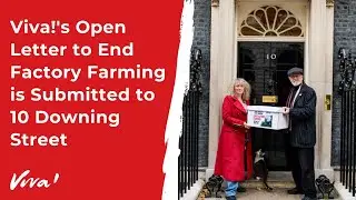 End Factory Farming Open Letter Submission