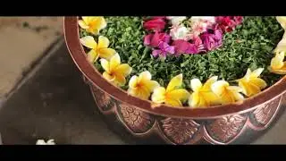 Indonesia Spa Wellness Community For Your Whole Health & Beauty | ANDARU SPA