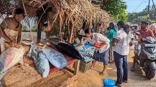 Traditional Fish Market in a Stunning Village | Fresh Fish Daily