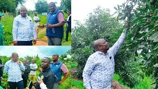 RC MTAKA AWATEMBELEA WAKULIMA WAKUBWA WA PARACHICHI NJOMBE/MADEBE/NEMES/