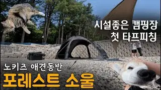 여름캠핑 시작! 시설 좋은 포레스트 소울 캠핑장에서 힐링 | 카즈미 헥사타프