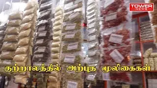 குற்றாலத்தில் அற்புத மூலிகைகள்| Kutralam Main Falls | Courtallam Water Falls | Main Falls | kutralam