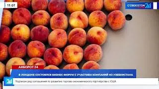 A business forum with the participation of companies from Uzbekistan was held in London on Novemb...