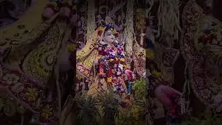 Janmashtami 2025 Celebrations at ISKCON Kanpur | Sri Sri Radha Madhav Darshan & Festival Highlights
