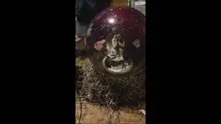 waterless snow globe