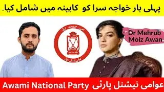 First Transgender in Political Party | Dr Mehrub Moiz Awan | Talha Raees