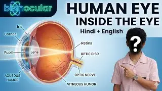 Human eye ..... visual explanation. #science #explore #class10 #basic #biology 