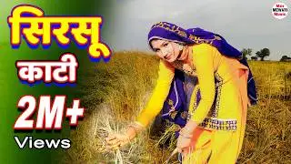 Sirsu Karti सिरसू काटी (Full  Video Song) Afsana  Chanchal || New Mewati Song 2021 Mor Mewati