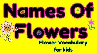 Learn Flower Names! Fun Flower Vocabulary for Children & Toddlers