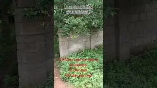 3.5 Cents #Land for Sale in #Erumbukadu #lotusrealestate #nagercoil #இடம் வாங்க விற்க