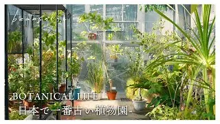 【植物のある暮らし】日本で一番古い植物園で癒される休日｜小石川植物園｜Relax in Japan's oldest botanical garden