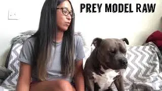 HOW TO MAKE A PREY MODEL RAW (PMR) MEAL FOR YOUR DOG