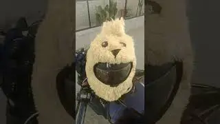 Day 12 Zomato #zomoto #funny #vlog