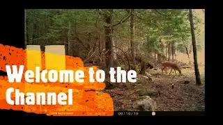 Independent Off Grid Retreat