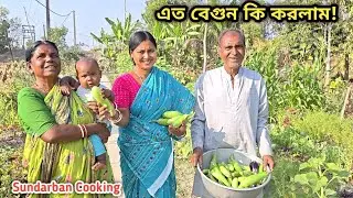 এতো বেগুন কি করলাম!একটু হাল্কা পাতলার মধ্যে স্বাস্থ্যকর খাবার খাওয়া হলো! Sundarban Cooking 