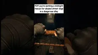 POV you&rsquo;re working a midnight rescue for abused street dogs in a dangerous alley #shorts