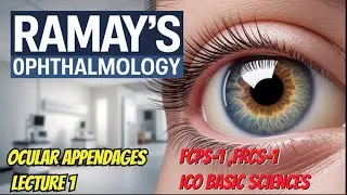 Ramay's ophthalmology, Ocularappendages lecture 1 / Snell Eye Anatomy Review